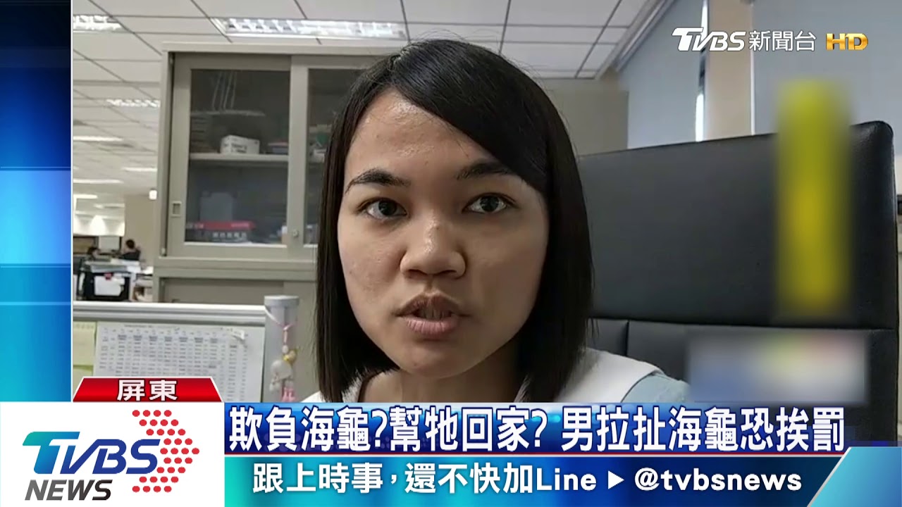 欺負海龜?幫牠回家? 男拉扯海龜恐挨罰