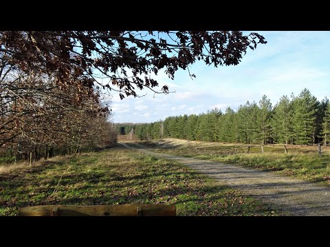 772 Landgraaf (Abdissenbosch)