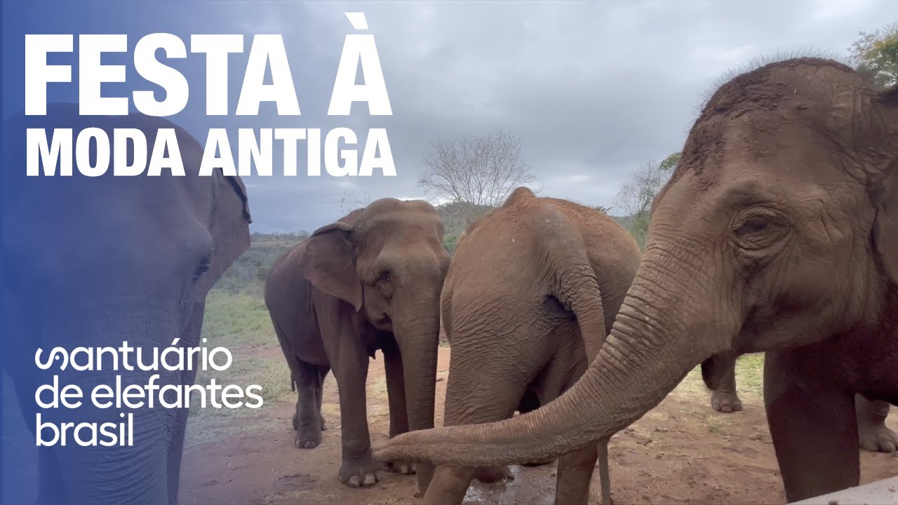 Festa à Moda Antiga