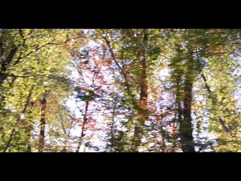 Nikola Radovic - Jutro