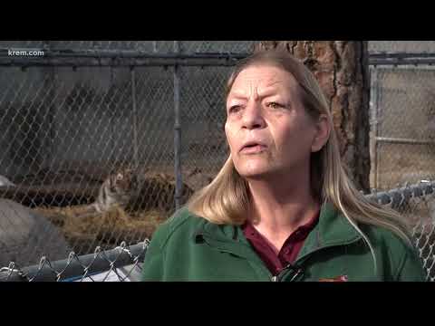 Cat Tales remains open despite rumors of closure