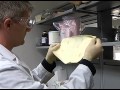 Forensics: The Silent Witness (Short version).mov