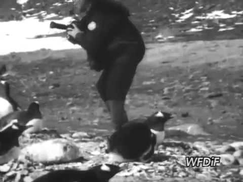 WŁODZIMIERZ PUCHALSKI (1909 - 1979)  przyrodnik, myśliwy, fotograf, reżyser filmów przyrodniczych