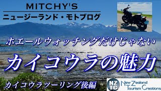【ニュージーランド・モトブログ】ホエールウォッチングで人気のカイコウラへのツーリング（後編）