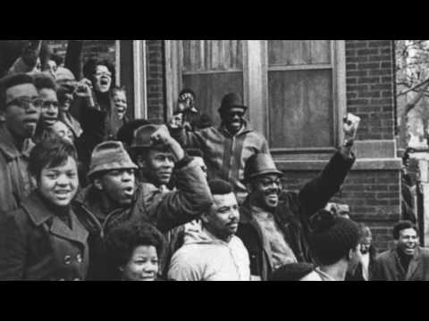 Diamonds and Pearls   The Paradons