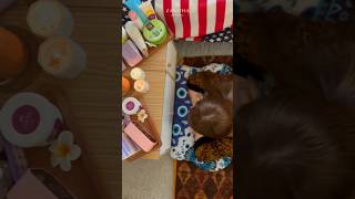 Download lagu Pijat Home SPA, ENAK BANGET... #nanashu #infobandung #homespa #fypシ #spa #rekomendasi #enakbangget mp3