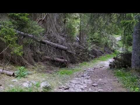 4k TRASEU PIETRELE ALBE dinspre Rachitele - APUSENI MOUNTAINS