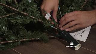 How To Troubleshoot an Unlit Section of your Easy Plug™ Christmas tree