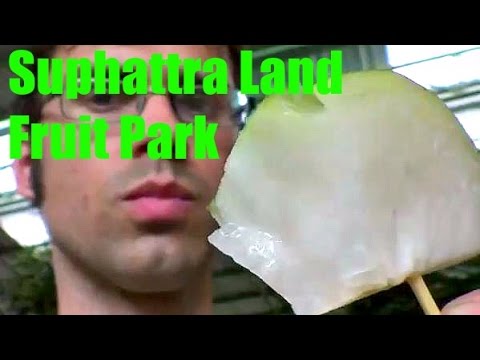 Suphattra Land Fruit Park Review (+ Jew's Plum & Green Jujube) Weird Fruit Explorer - Ep. 81
