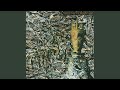 Fireworks (12" Nigel Gray Mix)