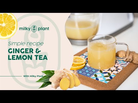 How to Make Easy Ginger & Lemon Tea at Home in Minutes | Milky Plant Plus 🍋