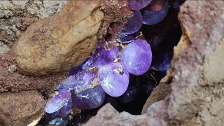 Download lagu Cracks in the valley after the earthquake. Some purple crystal eggs appear mp3