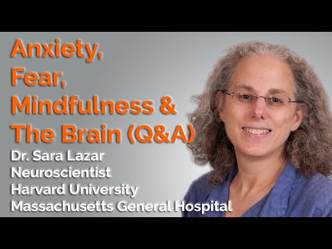 Anxiety, Fear, Mindfulness & The Brain by Dr. Sara Lazar (Q & A)