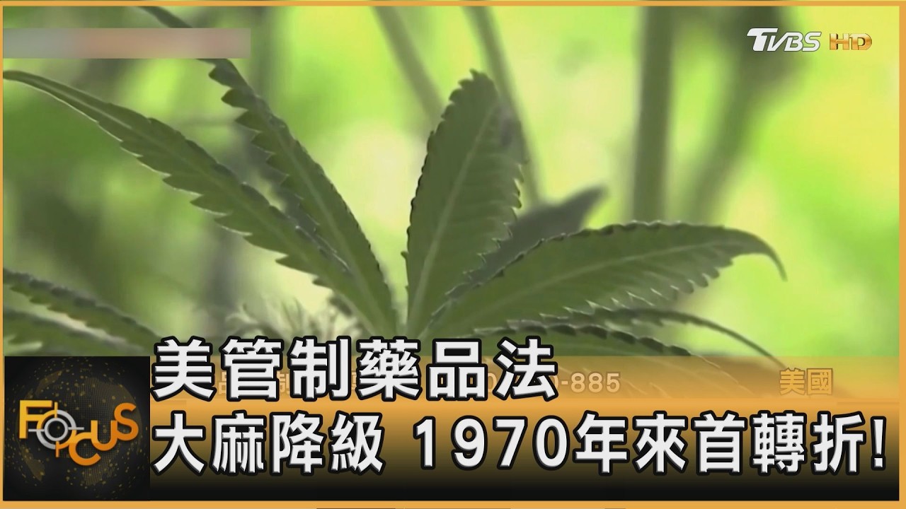 美管制藥品法 大麻降級 1970年來首轉折!