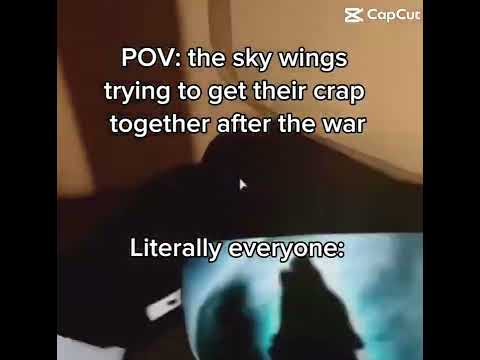 Skywing pov : #dragonlove #artartist #dragon #artist #art #paperdragon