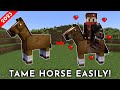 How To Tame Ride Horse In Minecraft Java Bedrock PE