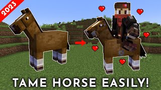 How to Tame & Ride Horse in Minecraft (Java/Bedrock/PE)