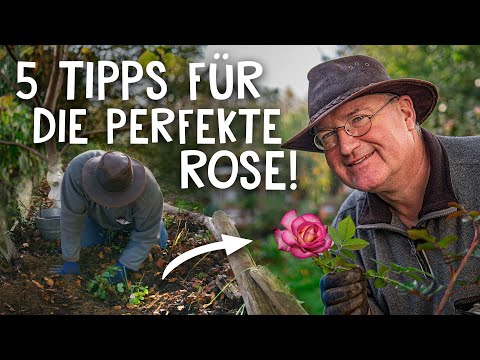 , title : 'Rosen pflanzen leicht gemacht! 🌹 - Tipps fürs Schneiden, Düngen & Wässern'