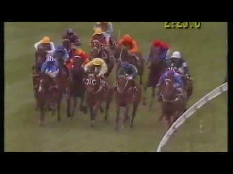 1991 Moonee Valley Cup