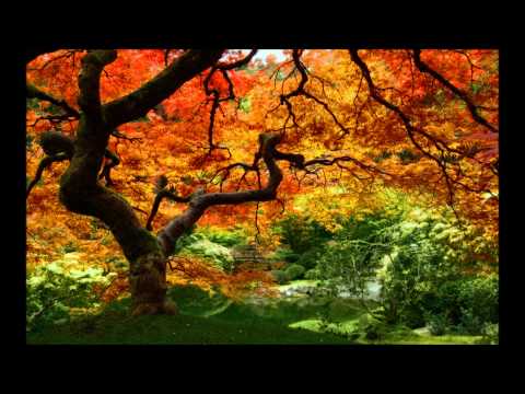 Mixee vs. WHSK & Pike feat. Lesiu - Liście