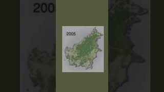 Download lagu peta hutan kalimantan mp3