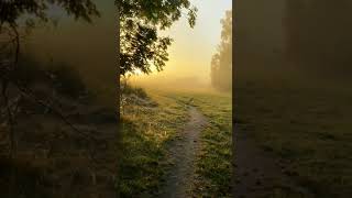 Download lagu Waktu begitu cepat dan senjapun tiba #viralshorts #waktu #senja mp3 Download lagu Waktu begitu cepat dan senjapun tiba #viralshorts #waktu #senja mp3