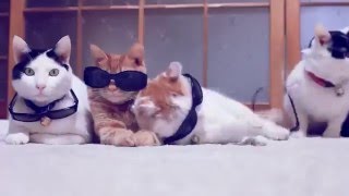 Лучшие приколы на YOUTUBE #2