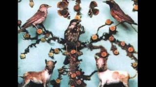 bands you should of heard by now. part 3/5