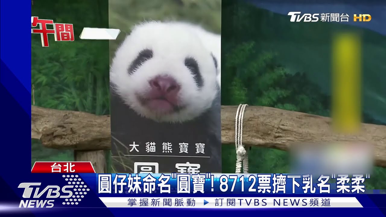 圓仔妹命名「圓寶」! 8712票擠下乳名「柔柔」