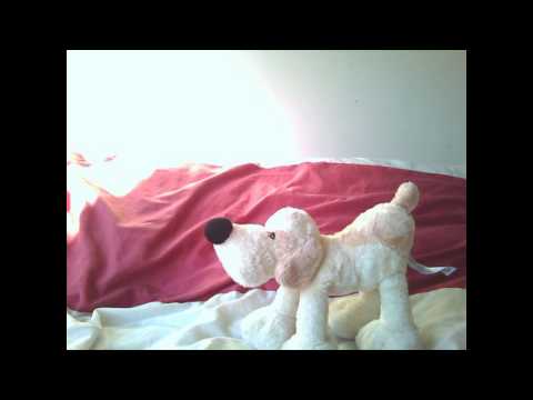 Scratchy The Dog Show What He Can Do (HD)