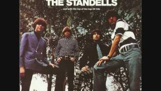 THE STANDELLS  - Wild Thing