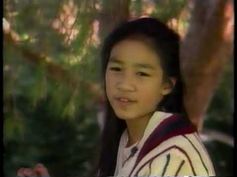 1993 Piruetten - Ladies Free Skate - Profile on Michelle Kwan