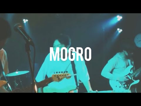 mogro 2021.11.20 gorilla house