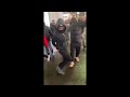 Ken Carson Rock N Roll Speed Up TikTok Version