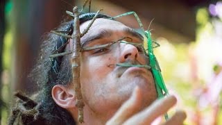ATTACKED BY GIANT BUGS! - Bali Day 4