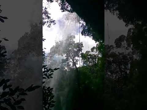 Cachoeira véu da noiva Doutor Pedrinho SC
