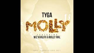Tyga &quot;Molly &quot;  Feat Wiz Khalifa &amp; Mally Mall