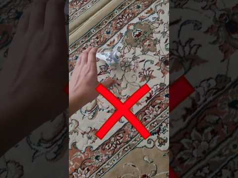 The Right Way of Picking up Budgie