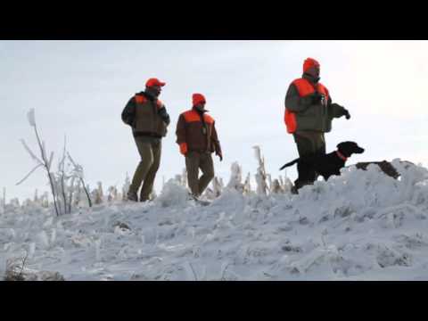 download lagu mp3 mp4 Prairie Sky Outfitters South Dakota, download lagu Prairie Sky Outfitters South Dakota gratis, unduh video klip Download Prairie Sky Outfitters South Dakota Mp3 dan Mp4 Music Gratis