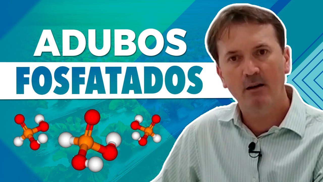 Dicas no uso dos adubos fosfatados - com Edson Mattiello