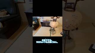 自分おもてなしご飯🍚 #シニア #70歳代 #ありがとう #健康習慣 #お盆 #提灯