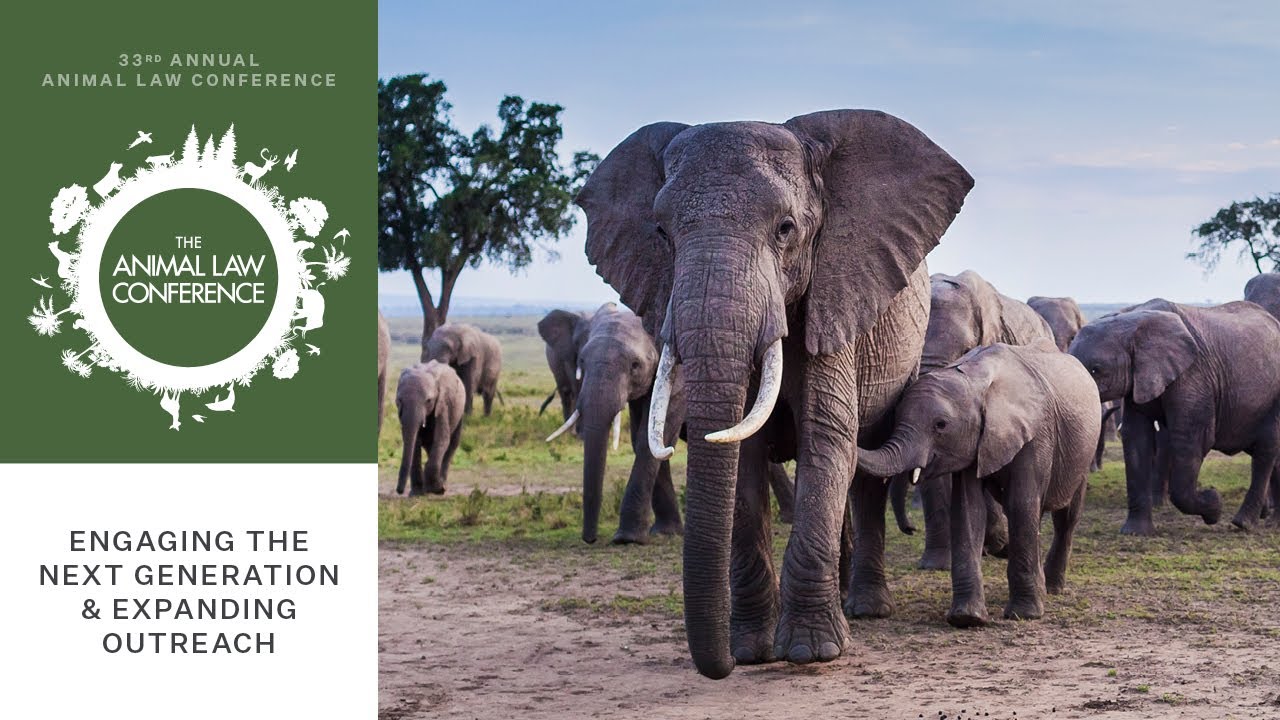 Engaging the Next Generation & Expanding Outreach