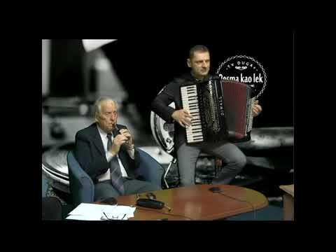 Tihomir Paunović - Gocino kolo (uživo)