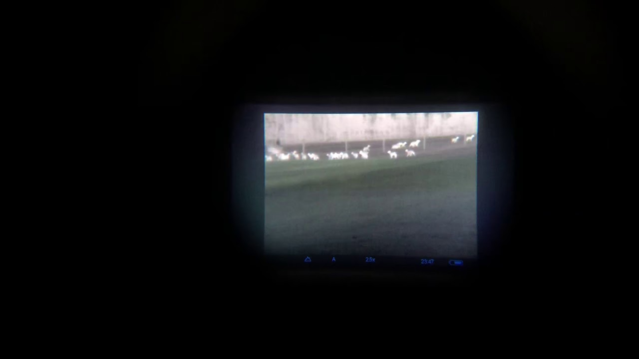 Firma JAGDLUXX testet Pulsar Axion Key XM 30