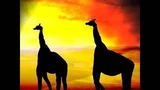 A tribute to Africa in dance + 'Ciclo Sin Fin' by Tata Vega