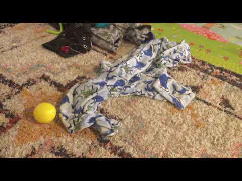 Top 7 fidget toys of my choice