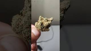 ONE of my TOP 5 FAVORITE INDICA STRAINS.......