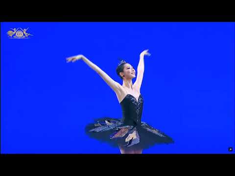 Yujin Kim (Korea) - Odile Variation | XIV Moscow Ballet Competition, Senior Round 3