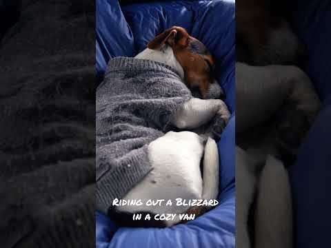 Riding out a Blizzard in a Cozy Van