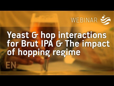 Yeast & hop interactions  for Brut IPA & The impact of hopping regime - Fermentis webinar